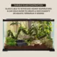 Product Thrive Reptile Terrarium