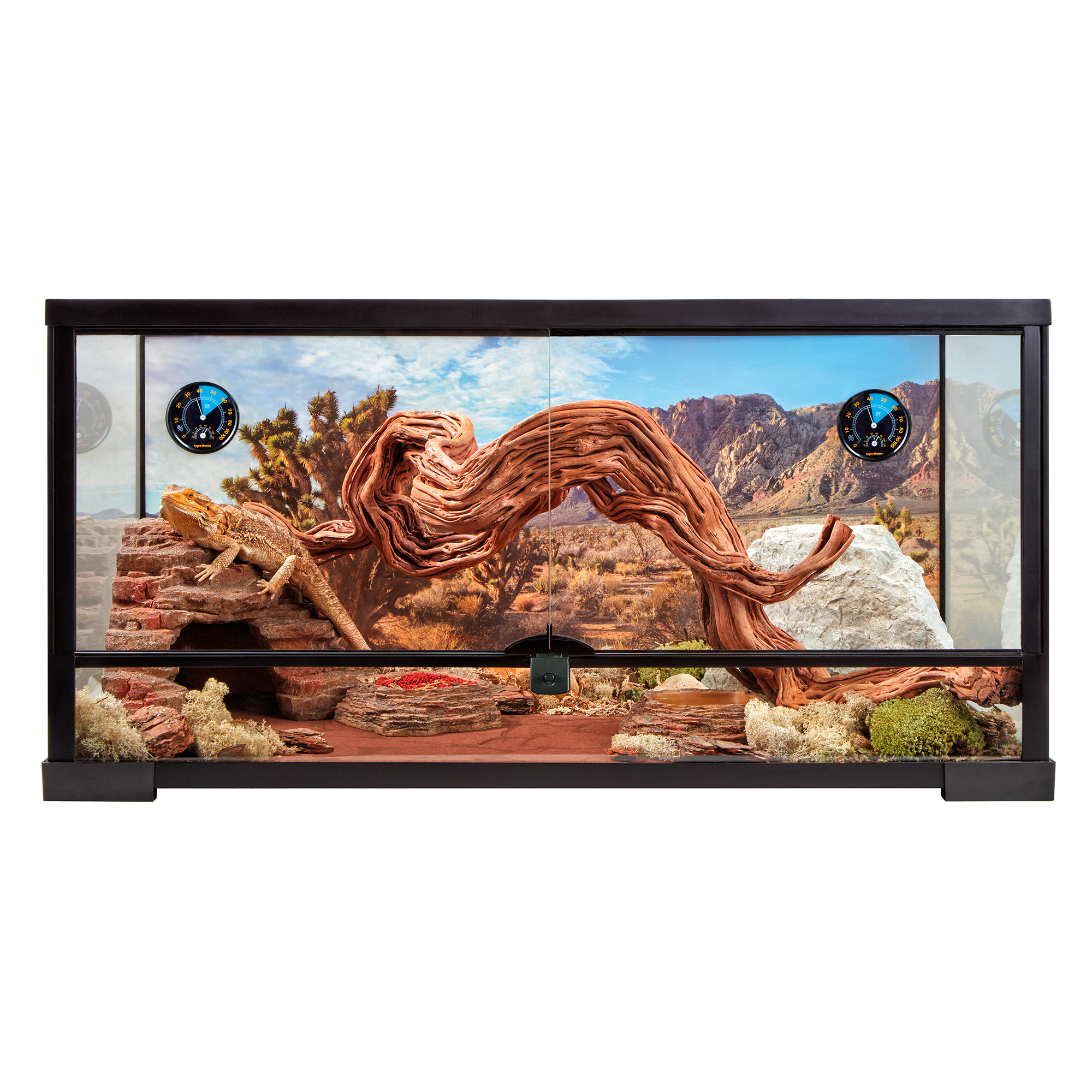 Reptile Starter Kits