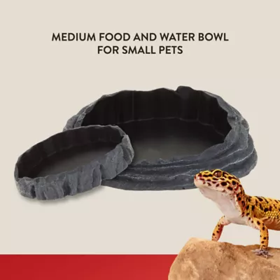 Product Thrive Reptile Food & Water Nesting Bowl
