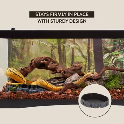 Product Thrive Reptile Food & Water Nesting Bowl