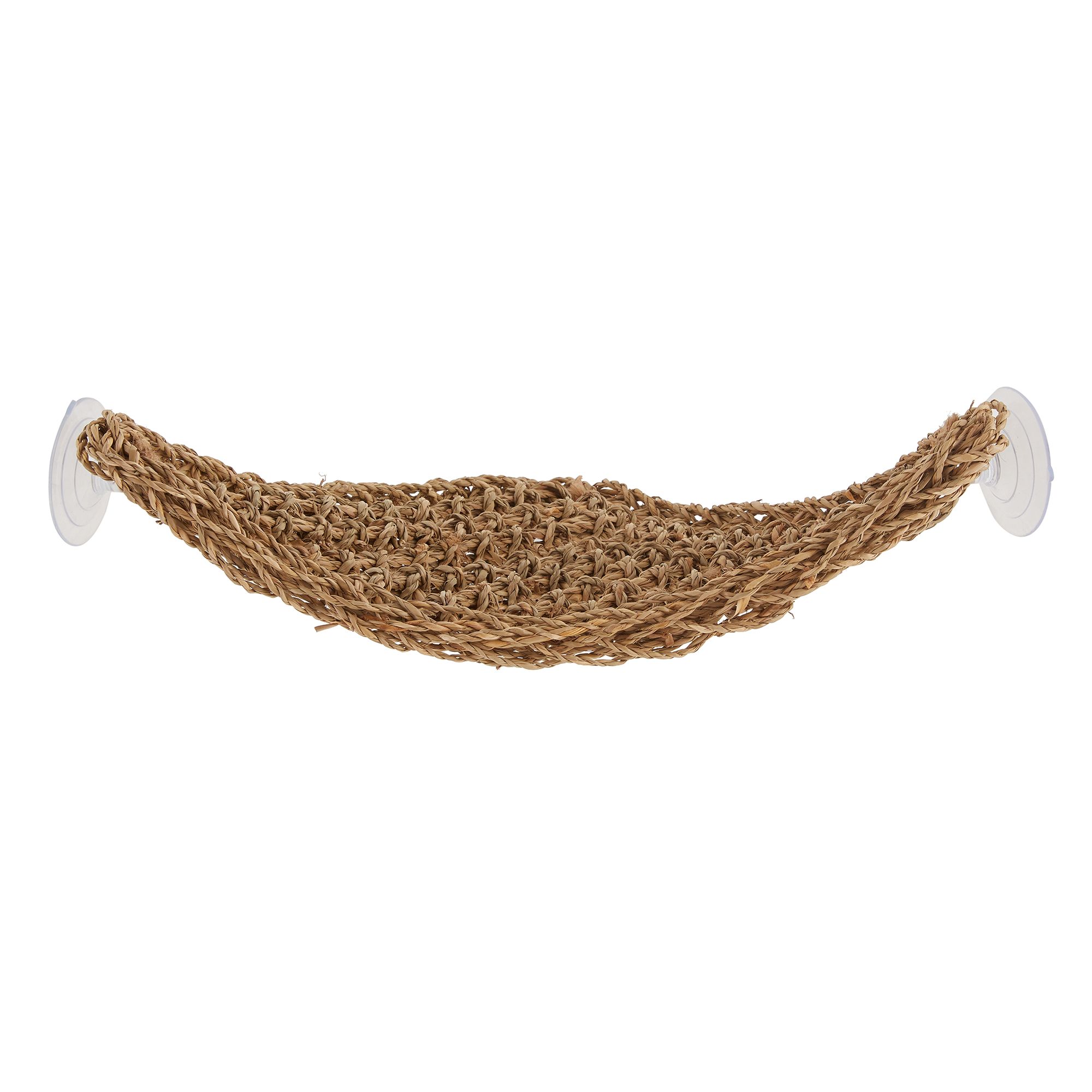 petsmart hammock