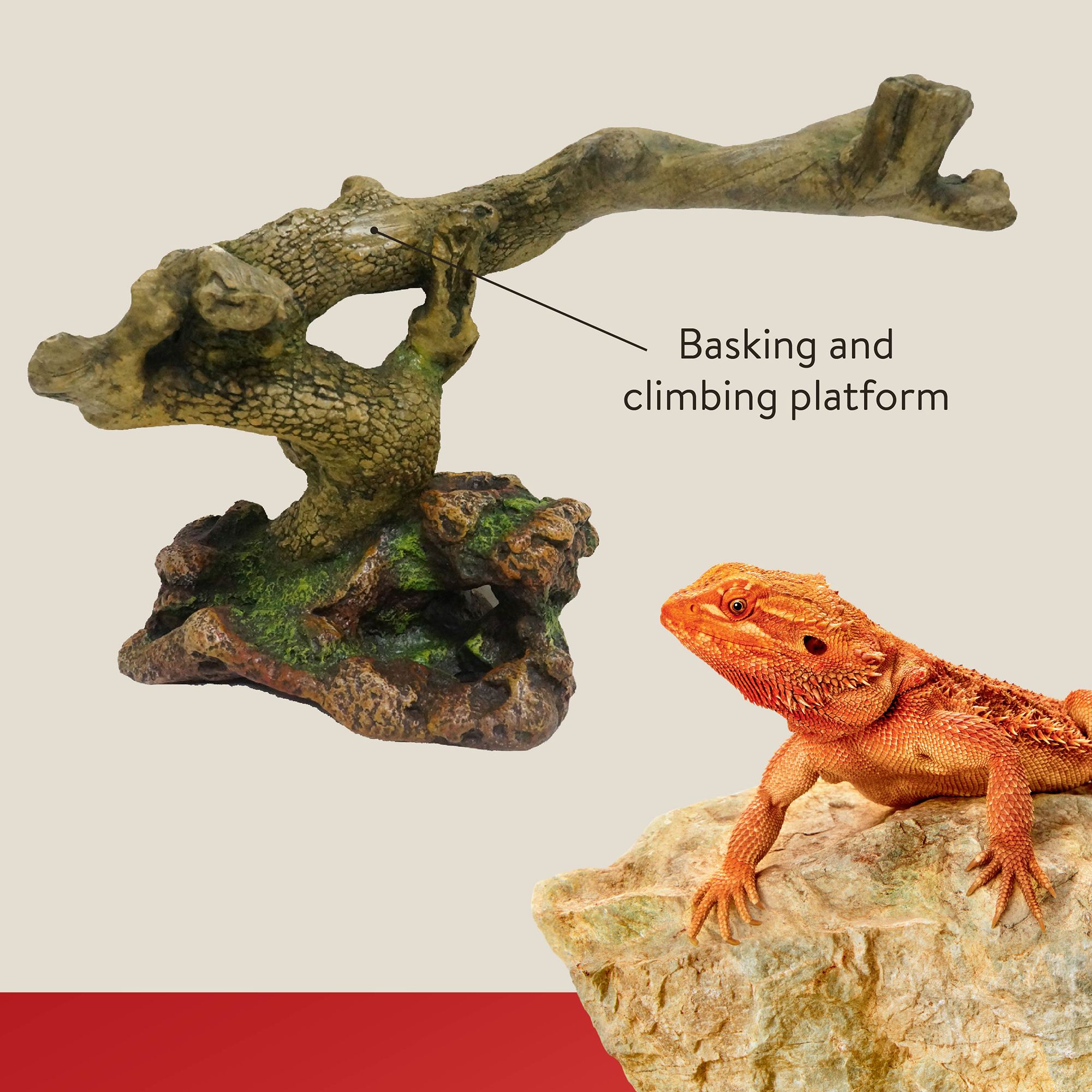 Thrive Twigs & Rock Reptile Decor - Terrarium Decor - thumbnail 2