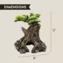 Thrive Bonsai Tree Reptile Decor image thumbnail 2