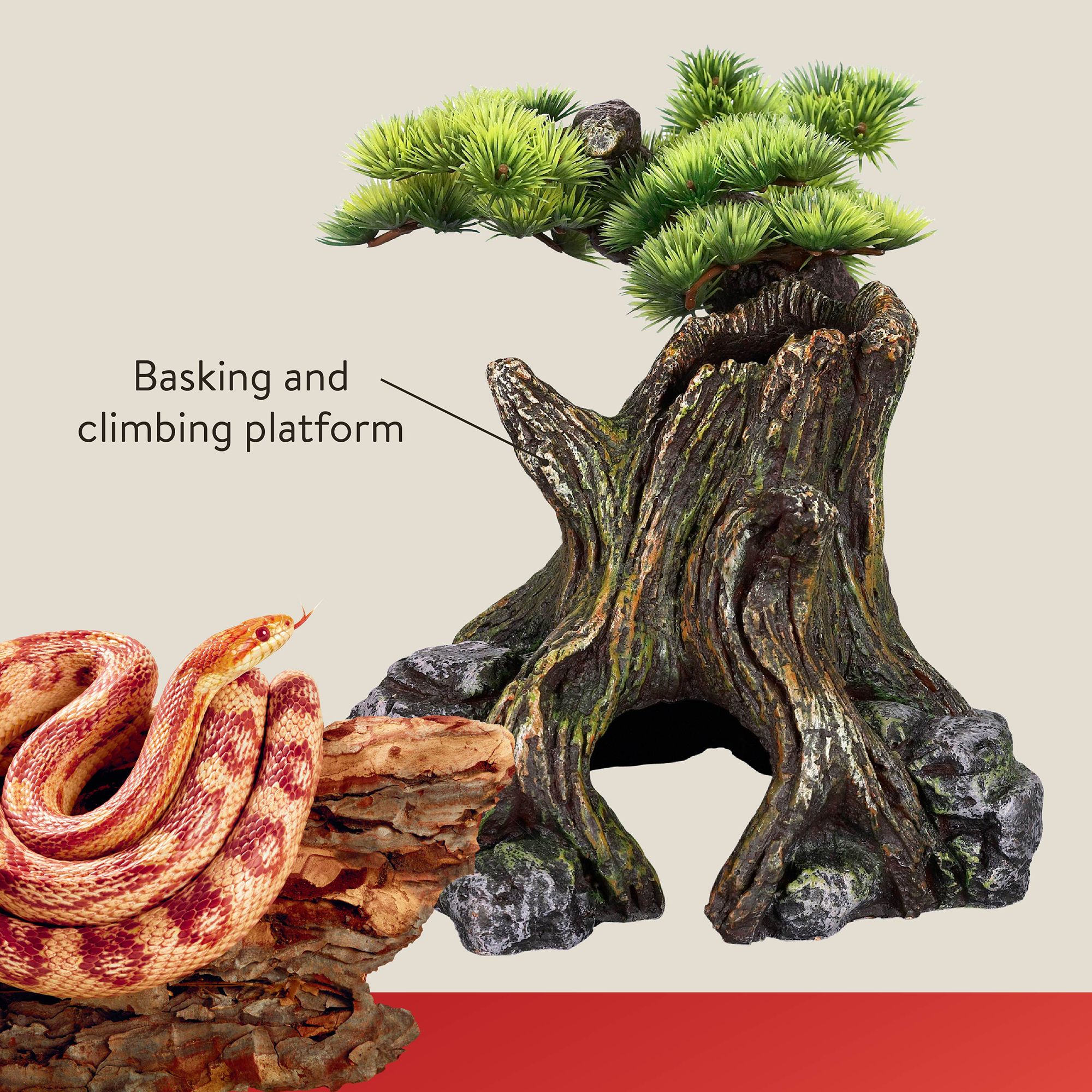 Thrive Bonsai Tree Reptile Decor - Terrarium Decor - thumbnail 3