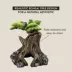 Thrive Bonsai Tree Reptile Decor image thumbnail 4