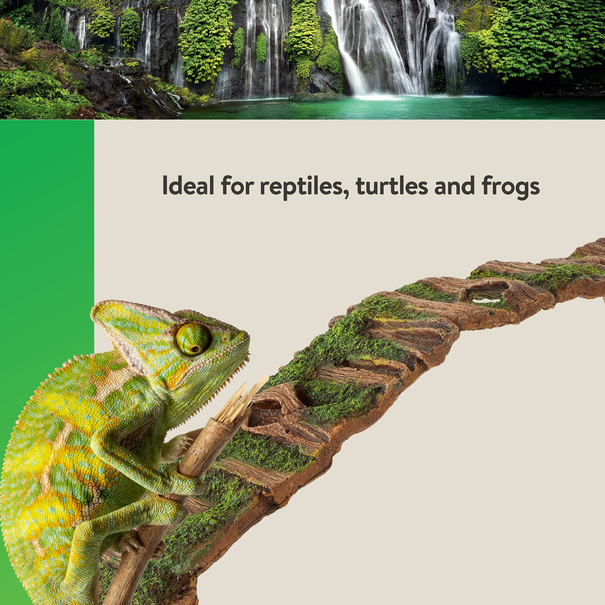Thrive Hollow Wood Reptile Ramp - Climbing Terrarium Decor - thumbnail 5