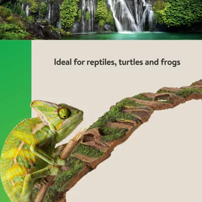 Product Thrive Hollow Wood Reptile Ramp