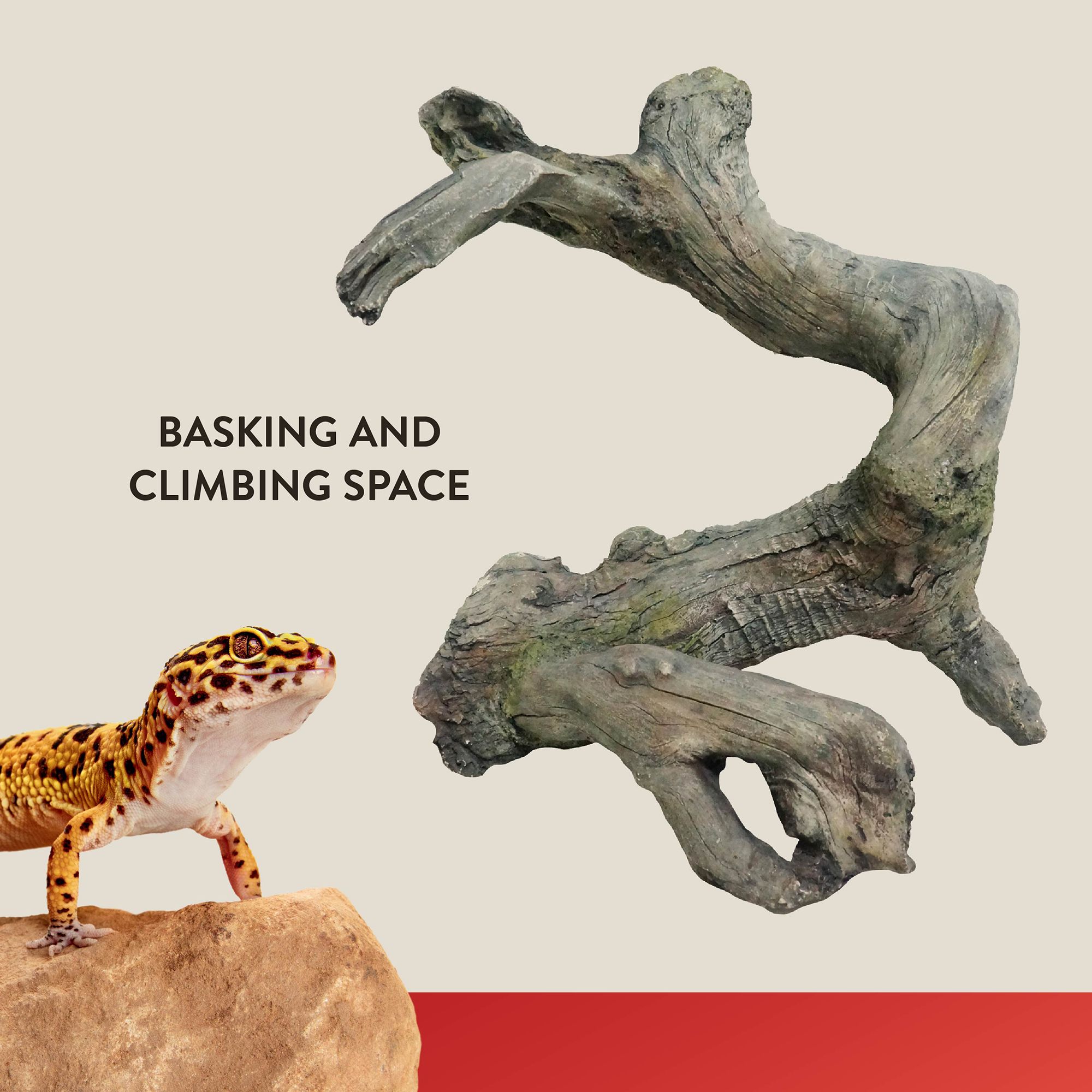 Thrive Driftwood Reptile Decor - Terrarium Decor - thumbnail 3
