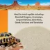 Thrive Desert Natural Calcium Sand image thumbnail 4