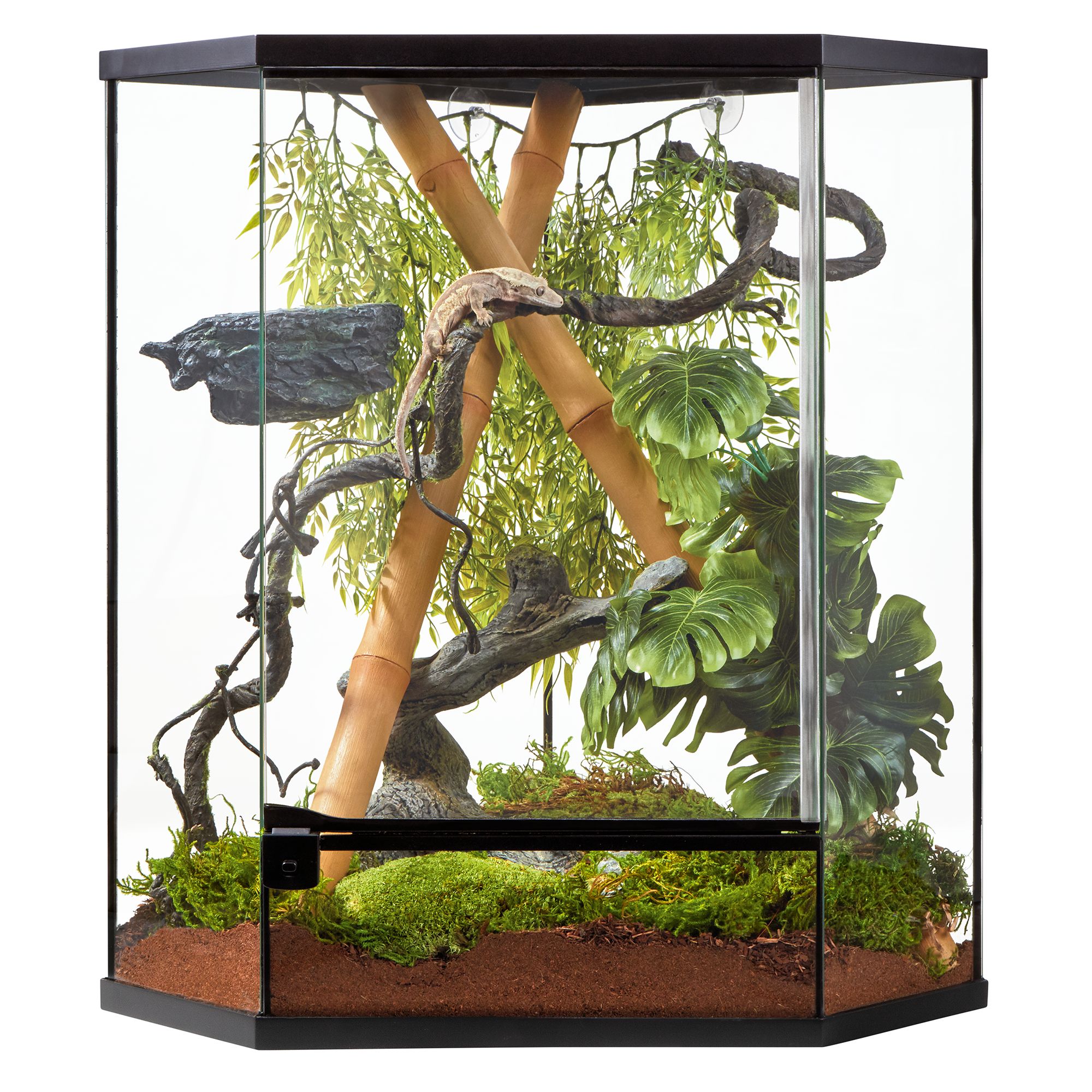 petsmart reptile terrarium