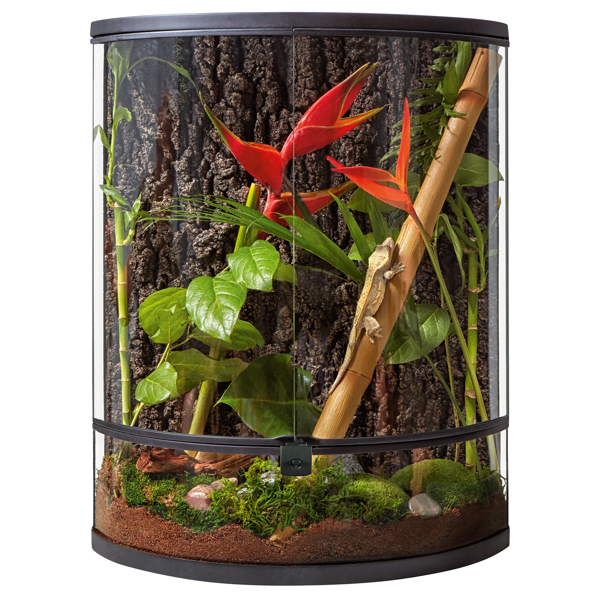 Thrive Tropical Reptile Vertical Terrarium - 20 Gallon | reptile Terrariums | PetSmart