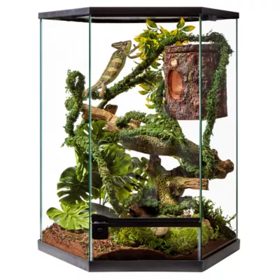 Product Thrive Vertical Hexagon Tropical Reptile Terrarium -20 Gallon