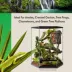Thrive Vertical Hexagon Tropical Reptile Terrarium -20 Gallon image thumbnail 5