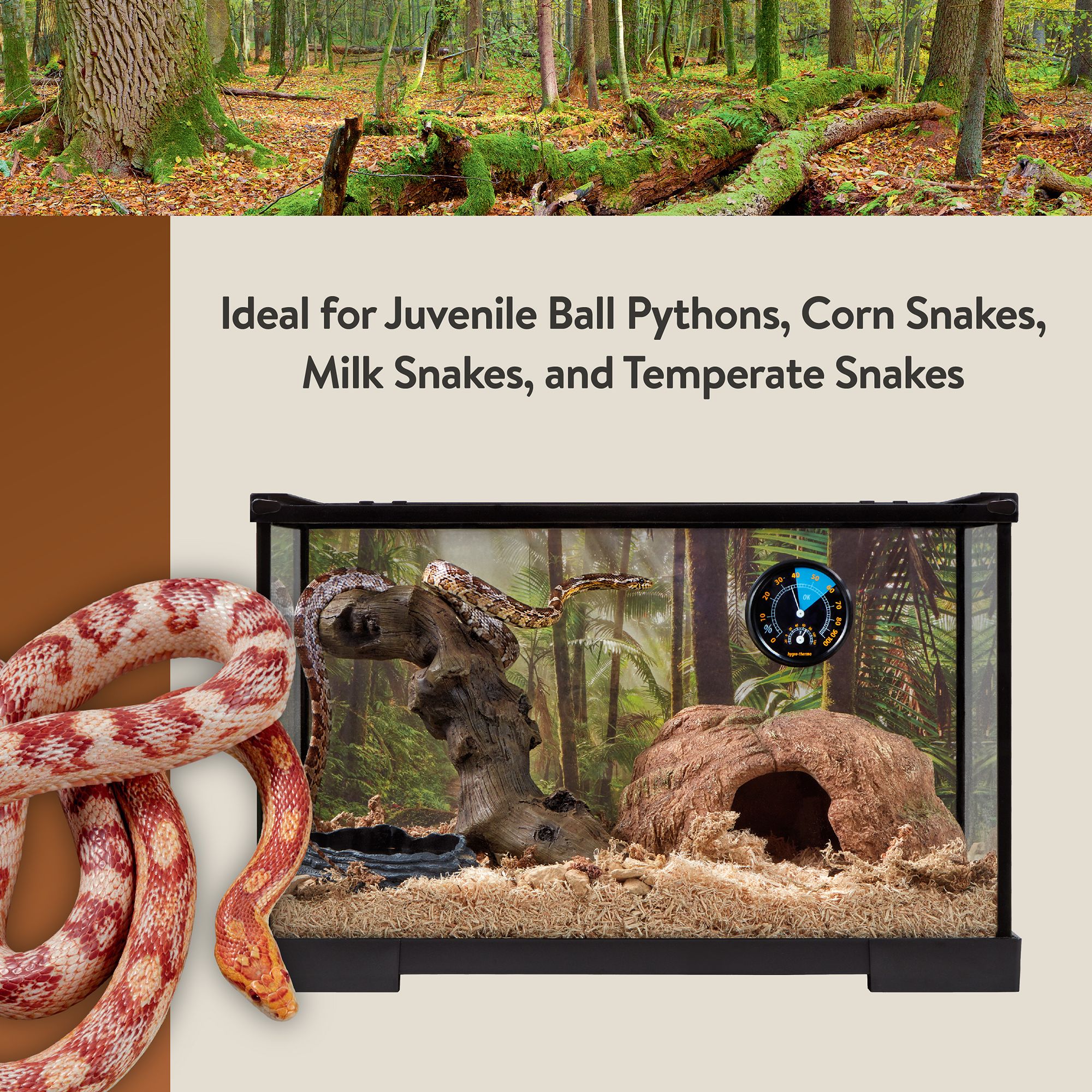 Thrive Temperate Snakes Essentials Kit - 10 Gallons - Temperate Reptile Terrarium Kit - 20x10x12 - thumbnail 6