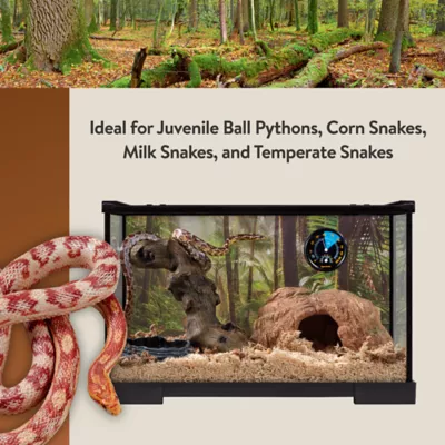 Product Thrive Temperate Snakes Essentials Kit