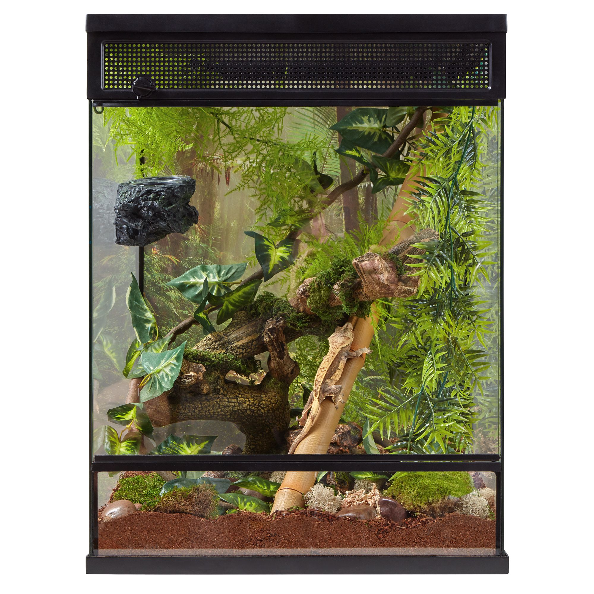 crested gecko tank kit