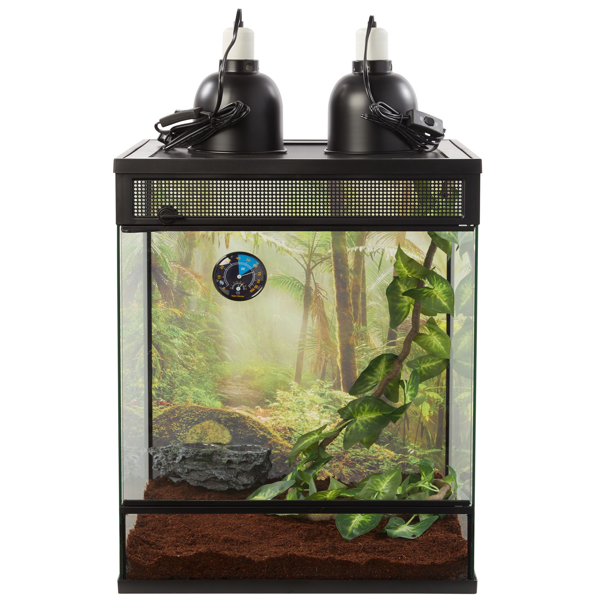 petsmart lizard tank