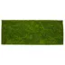 Thrive Tropical Green Reversible Habitat Carpet image thumbnail 1