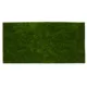 Product Thrive Tropical Green Reversible Habitat Carpet