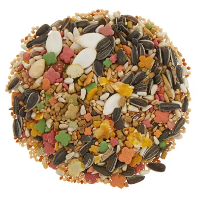 Product All Living Things® Seed & Pellet Medley Conure Diet