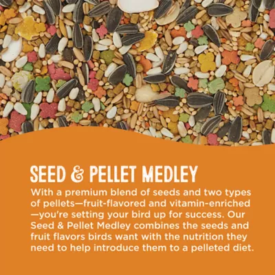 Product All Living Things® Seed & Pellet Medley Conure Diet