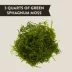 Thrive Tropical Reptile Green Sphagnum Moss image thumbnail 2