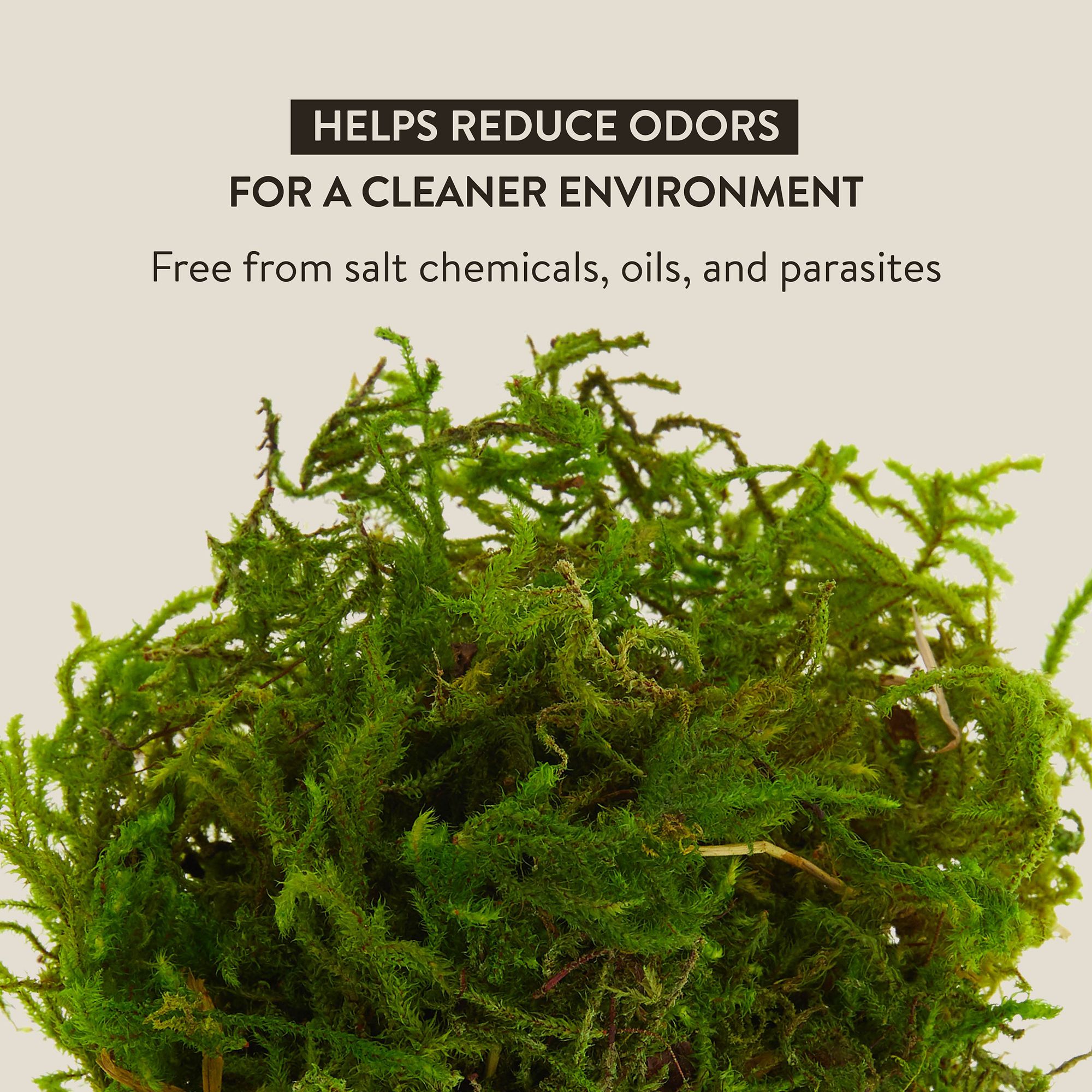 Thrive Tropical Reptile Green Sphagnum Moss - Terrarium Moss Substrate - 3 qt - thumbnail 4
