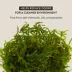 Thrive Tropical Reptile Green Sphagnum Moss image thumbnail 4