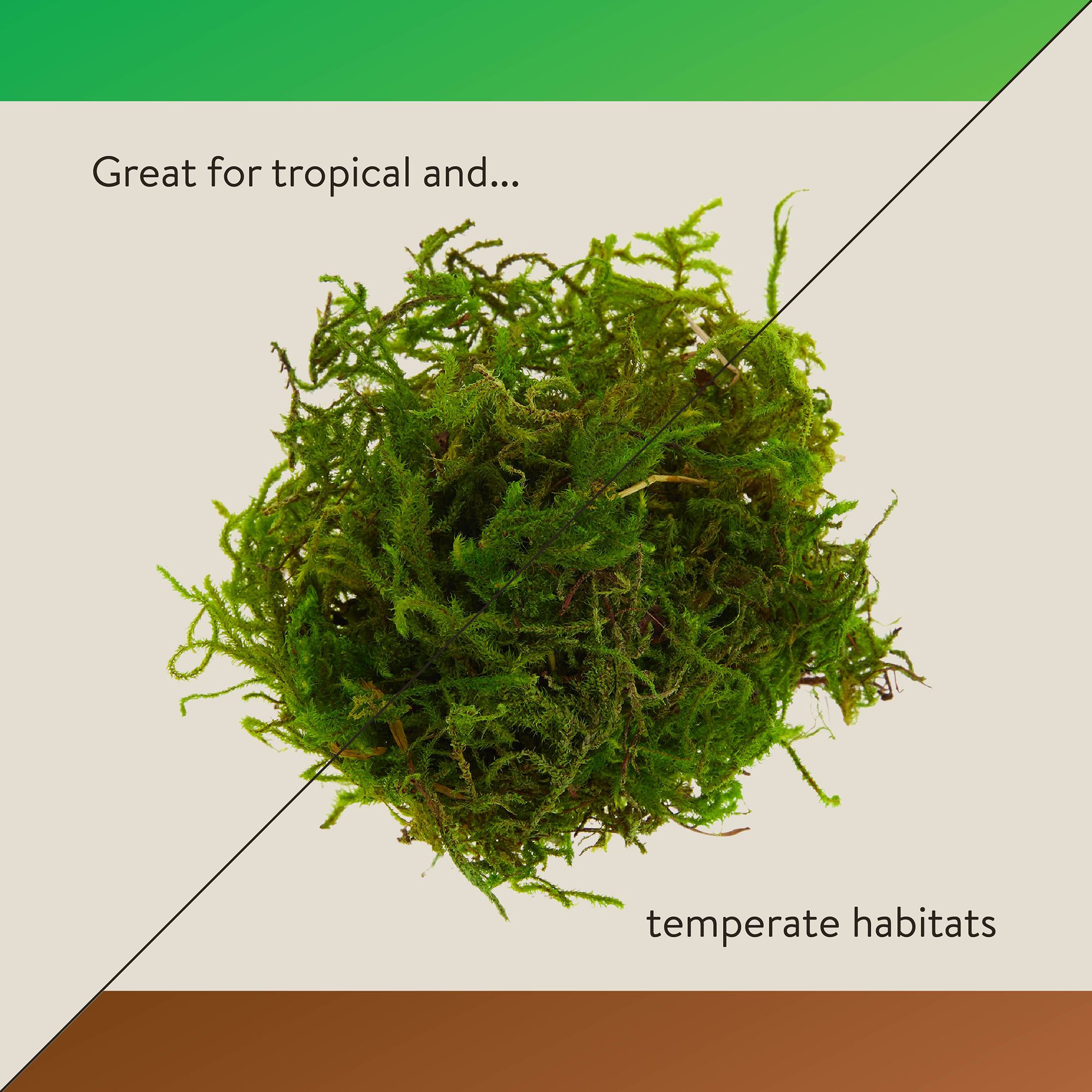 Thrive Tropical Reptile Green Sphagnum Moss - Terrarium Moss Substrate - 3 qt - thumbnail 5