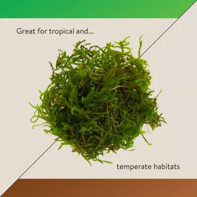 Product Thrive Tropical Reptile Green Sphagnum Moss