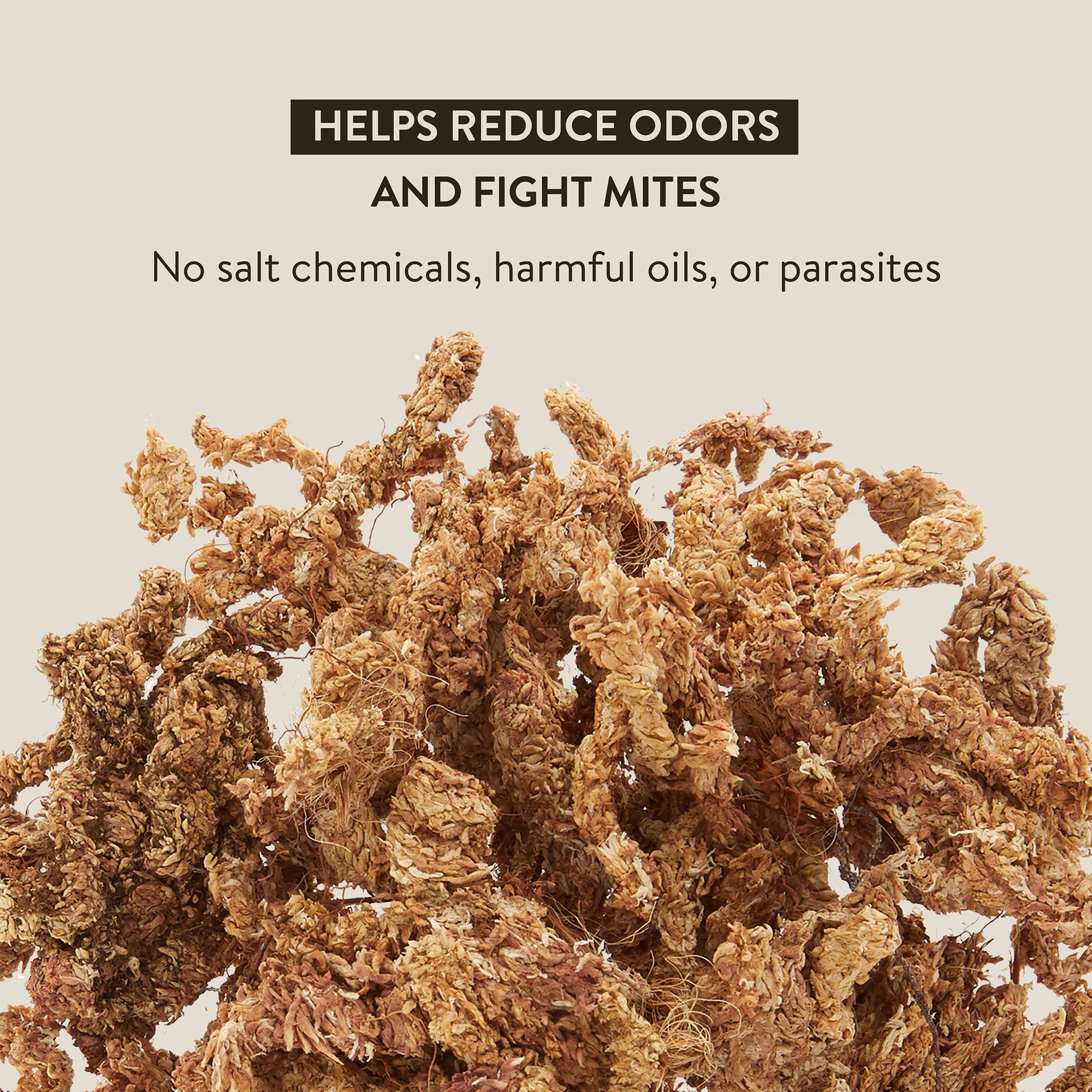 Thrive Sphagnum Reptile Moss - Terrarium Moss Substrate - 3 qt - thumbnail 4