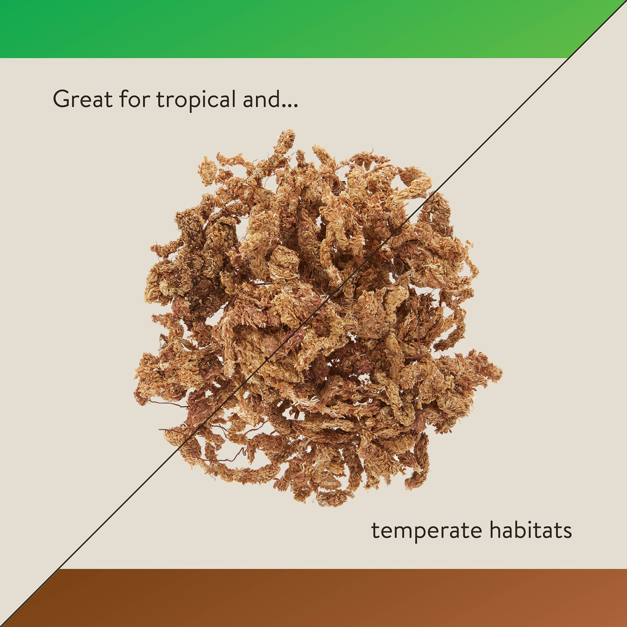 Thrive Sphagnum Reptile Moss - Terrarium Moss Substrate - 3 qt - thumbnail 5