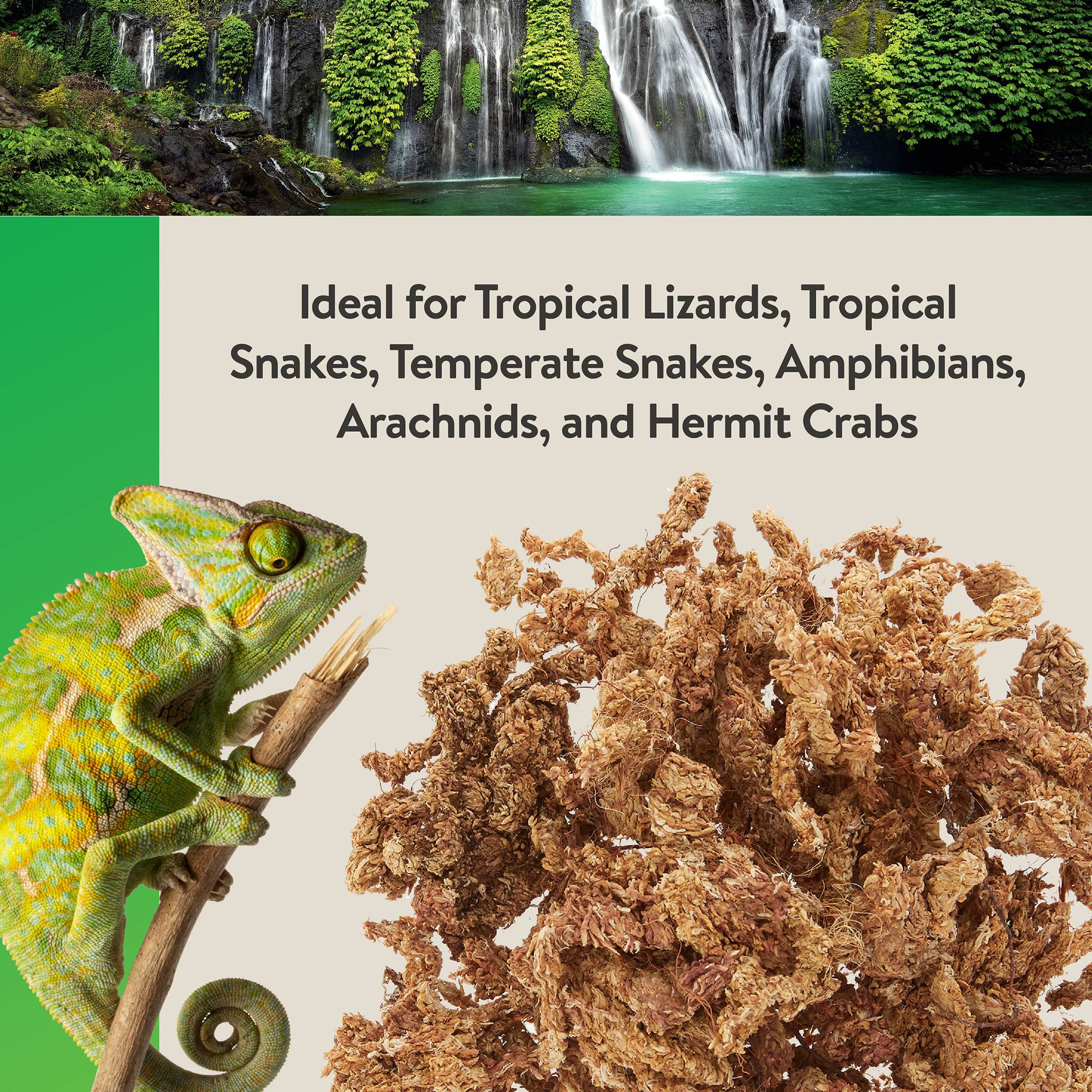 Thrive Sphagnum Reptile Moss - Terrarium Moss Substrate - 3 qt - thumbnail 6