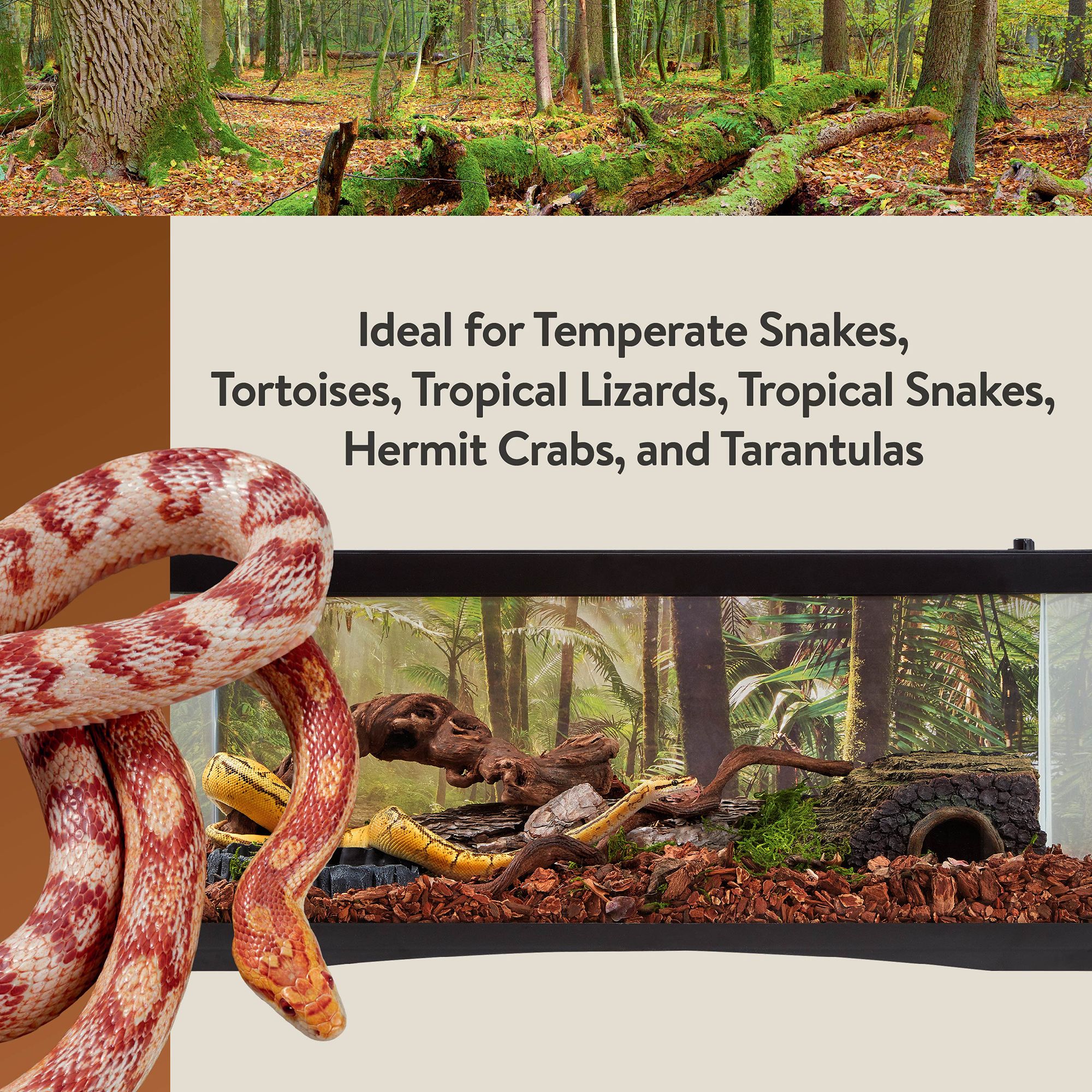 Thrive Fir Bark Reptile Terrarium Bedding - Reptile Substrate & Bedding - 24 qt - thumbnail 5