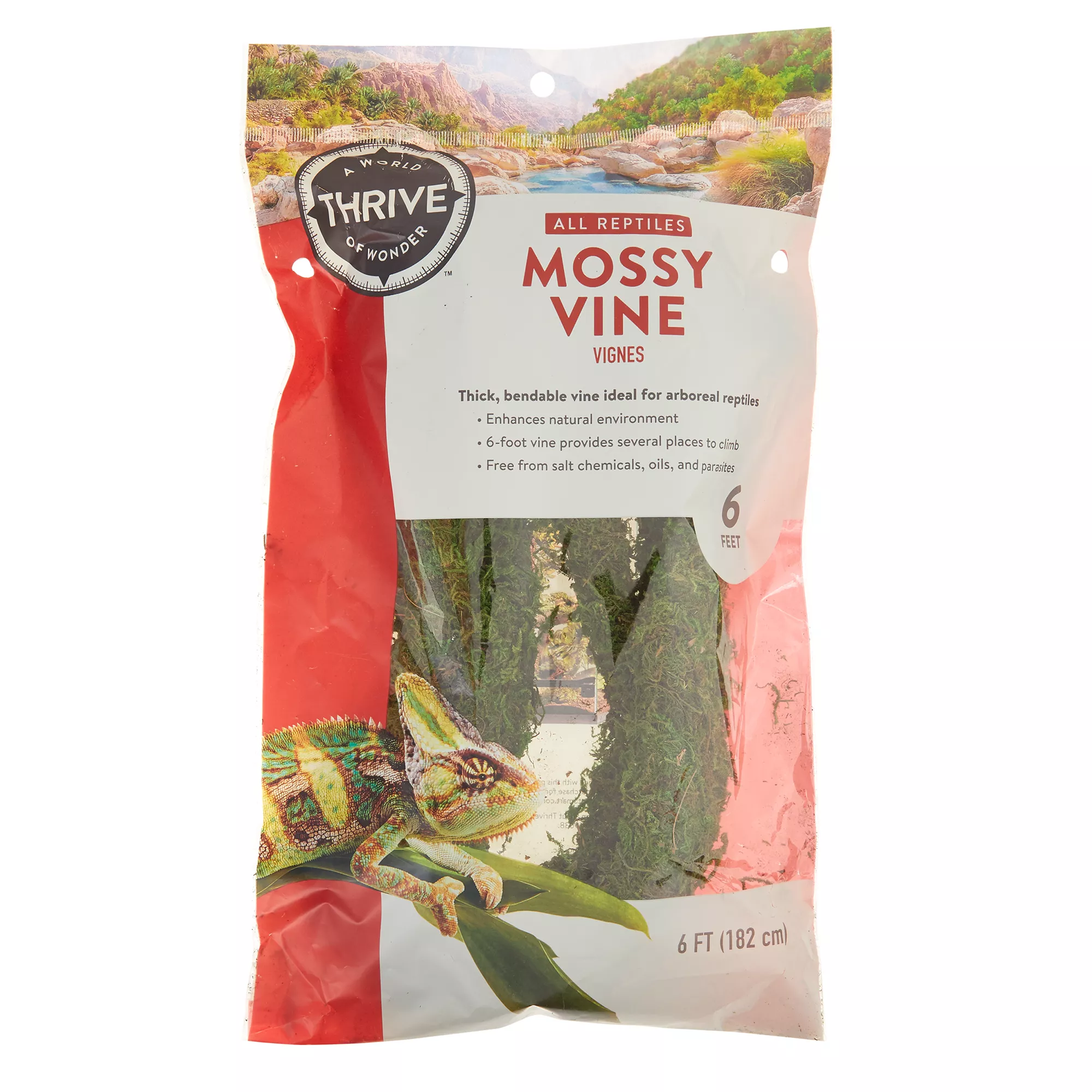 Thrive Mossy Reptile Vine - 6 Feet