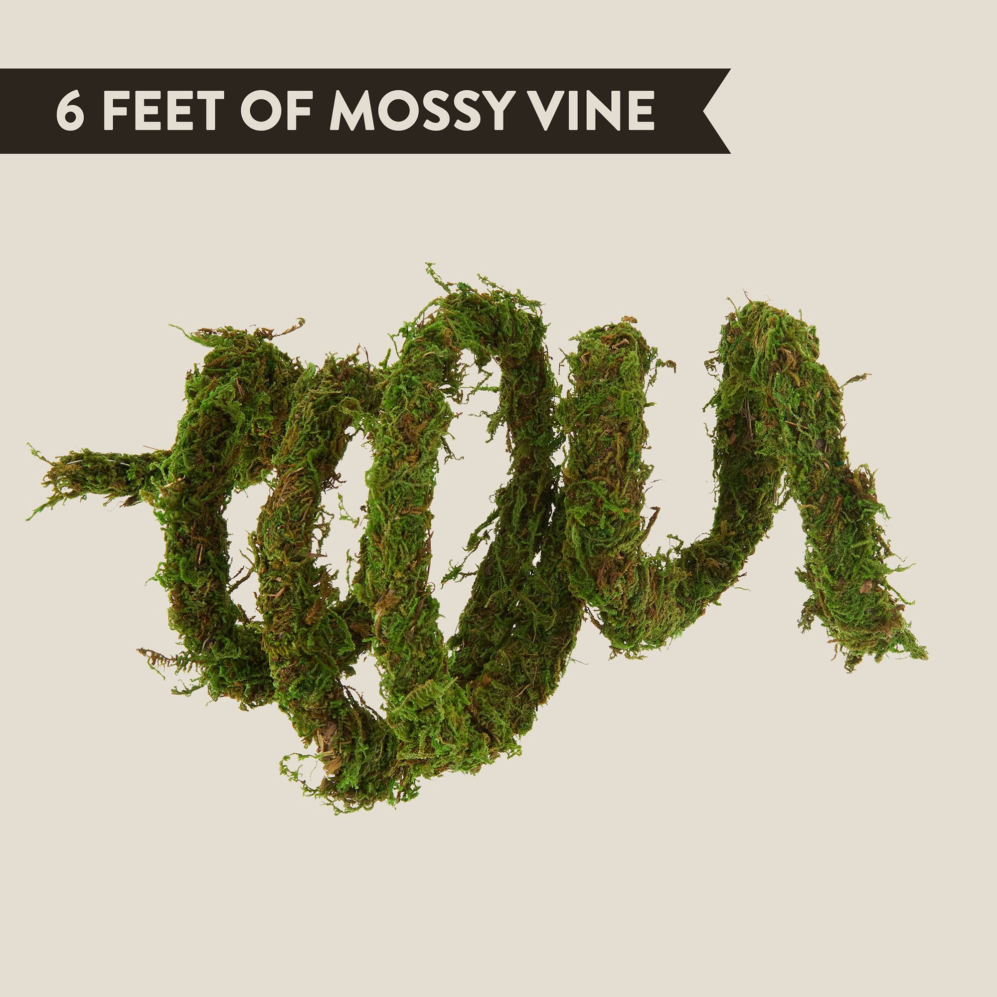 Thrive Mossy Reptile Vine - 6 Feet - Climbing Terrarium Decor - 6 in - thumbnail 2