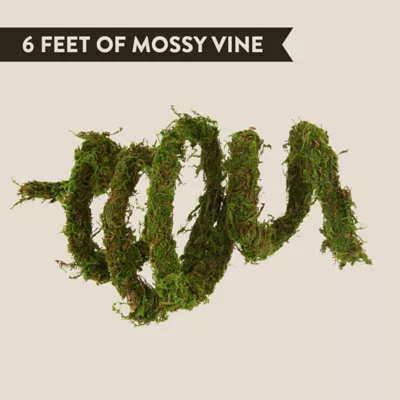 Product Thrive Mossy Reptile Vine - 6 Feet