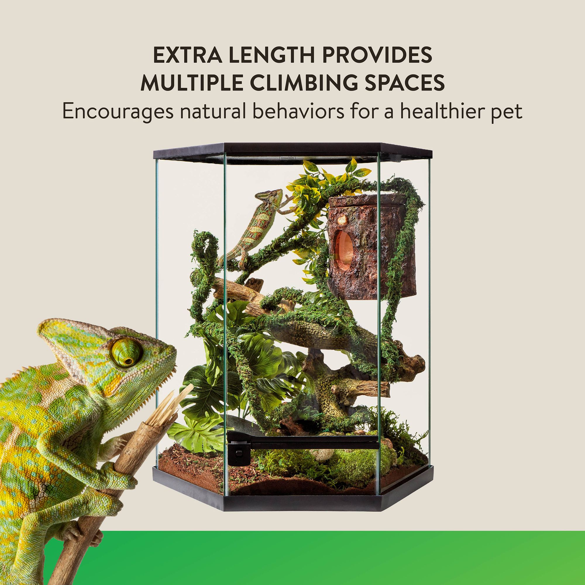 Thrive Mossy Reptile Vine - 6 Feet - Climbing Terrarium Decor - 6 in - thumbnail 3