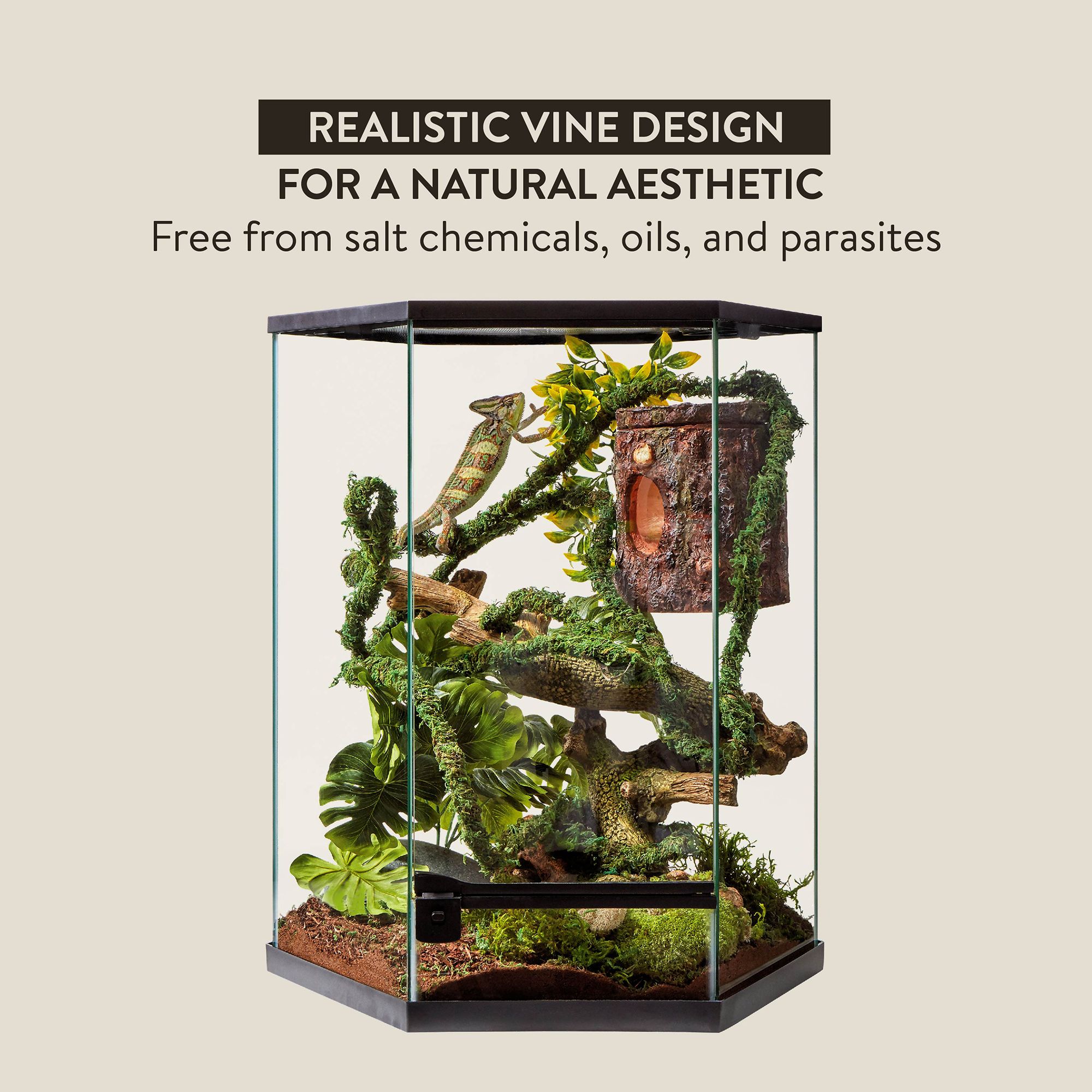 Thrive Mossy Reptile Vine - 6 Feet - Climbing Terrarium Decor - 6 in - thumbnail 4