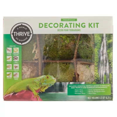 Product Thrive Tropical Reptile Decorating Kit