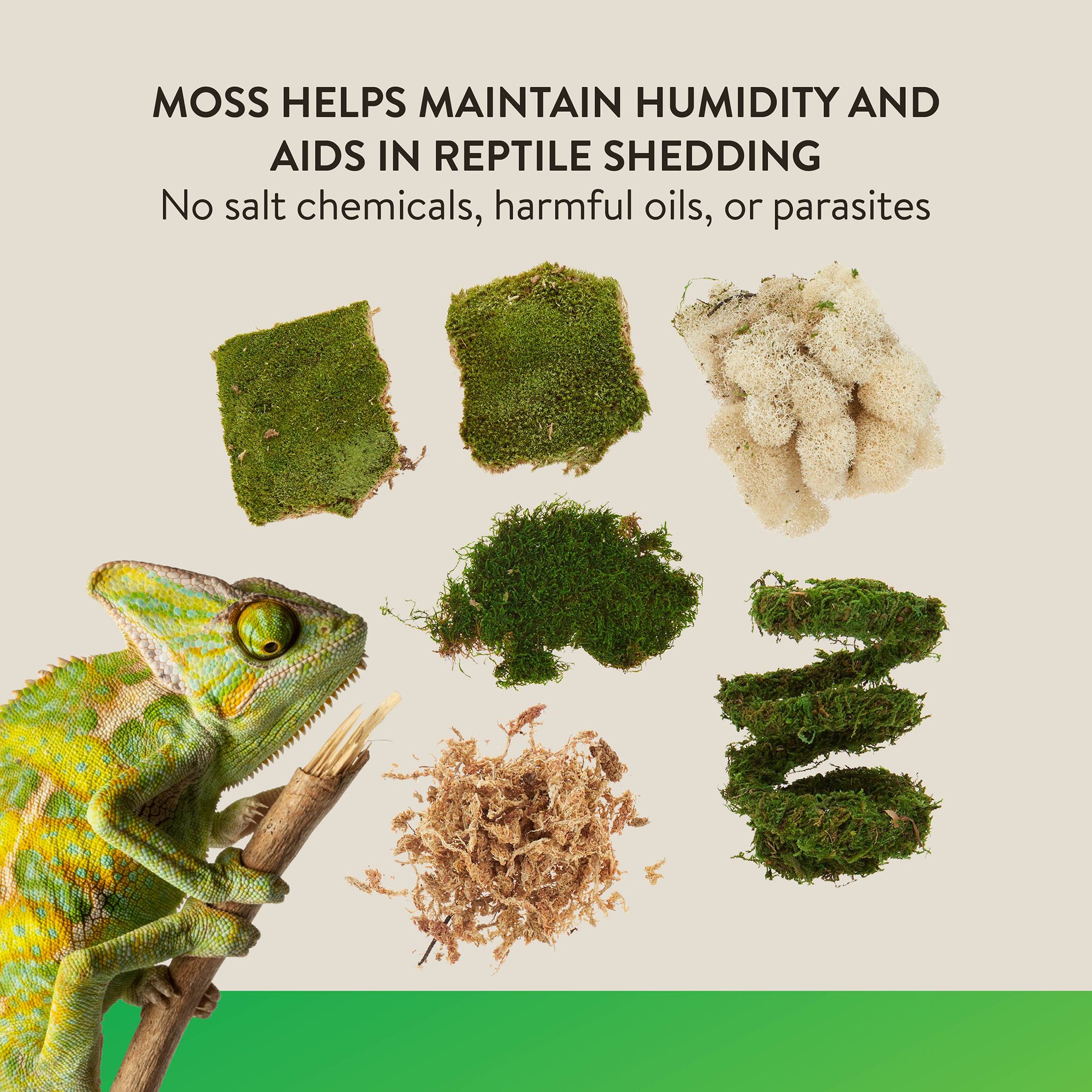 Thrive Tropical Reptile Decorating Kit - Terrarium Decor Kit - thumbnail 3
