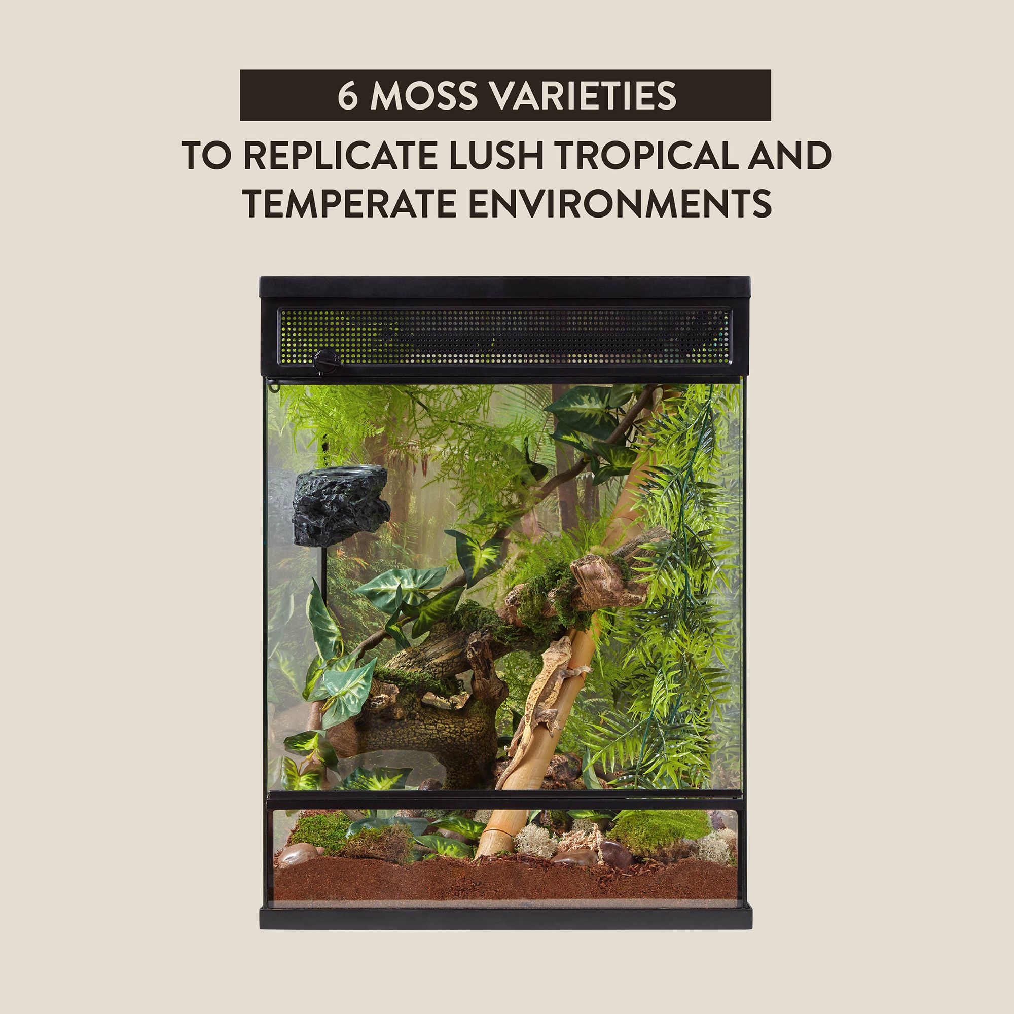Thrive Tropical Reptile Decorating Kit - Terrarium Decor Kit - thumbnail 4