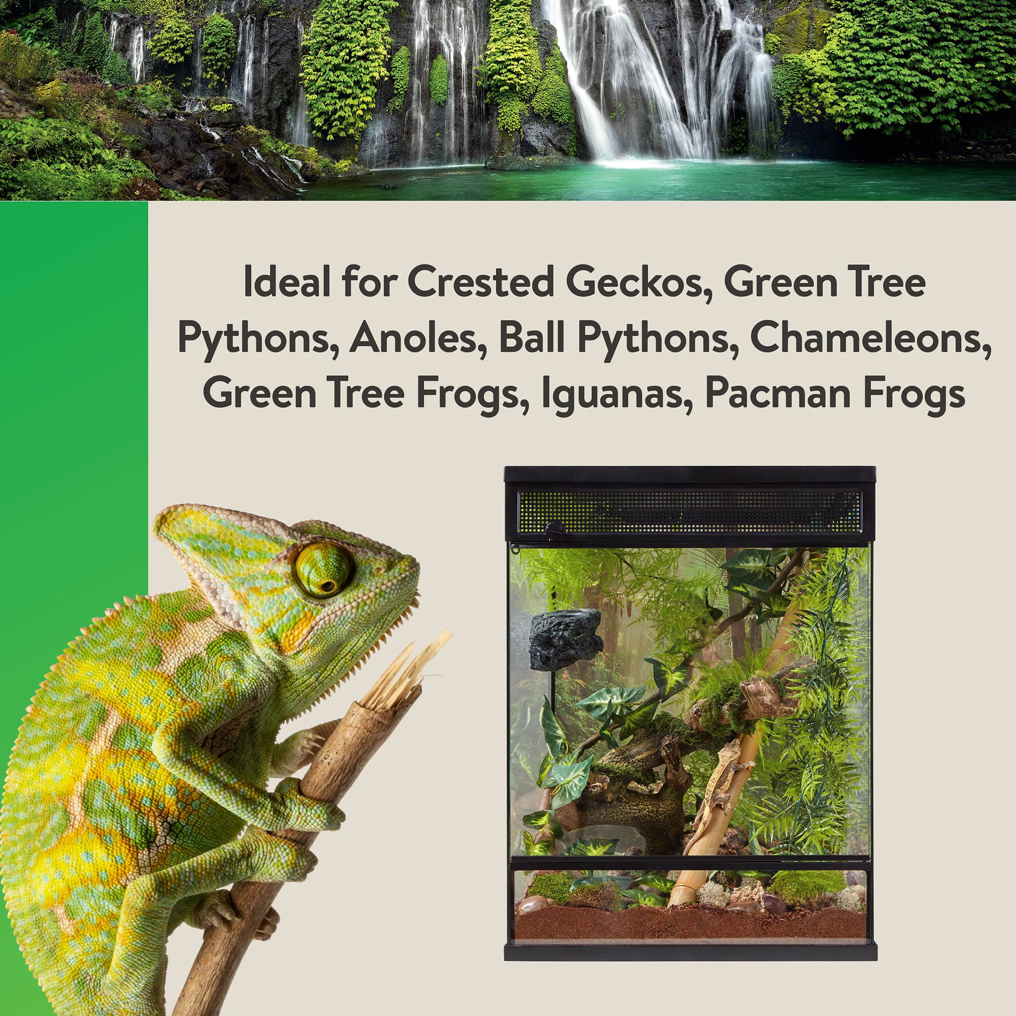 Thrive Tropical Reptile Decorating Kit - Terrarium Decor Kit - thumbnail 5