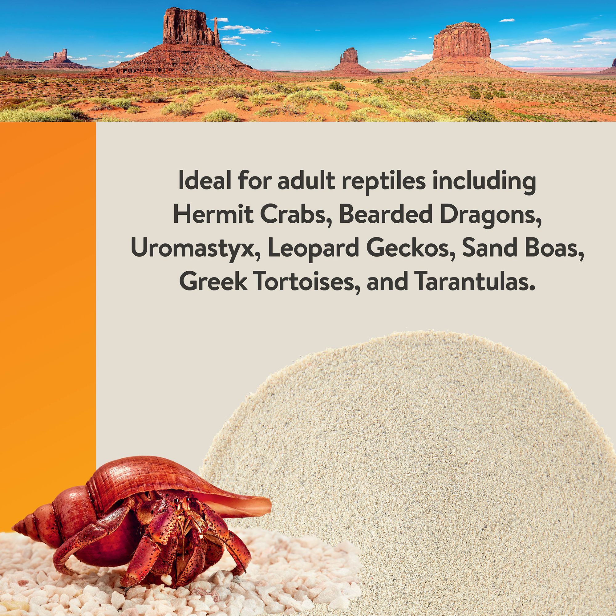 Thrive Natural Calcium White Sand - Reptile Sand Substrate - 5 lb - thumbnail 4