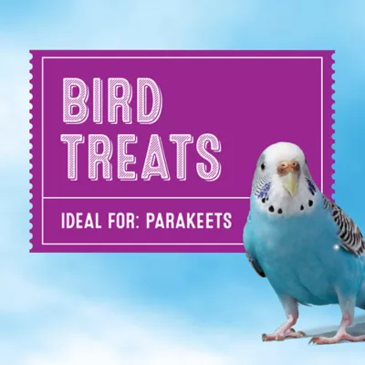 Parakeet treats hotsell