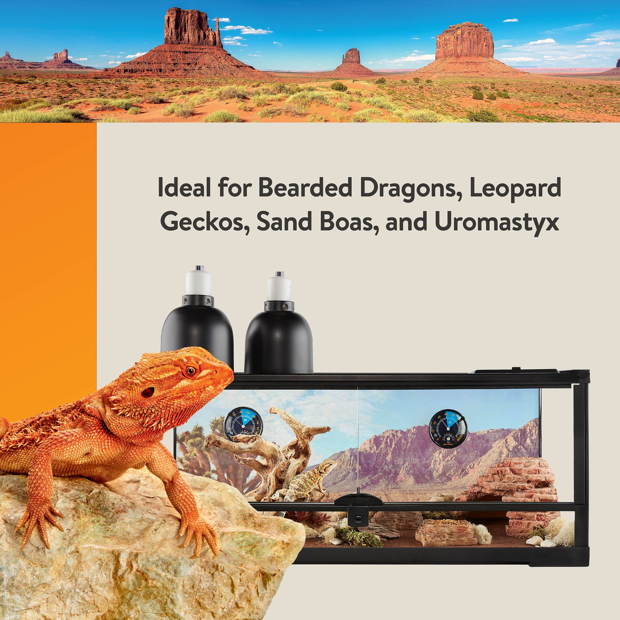 Thrive Desert Reptile Decorating Kit - Terrarium Decor Kit - thumbnail 5