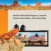 Thrive Desert Reptile Decorating Kit image thumbnail 5