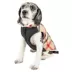 Pet Life® "Allegiance" Classic Plaid Pet Coat image thumbnail 3