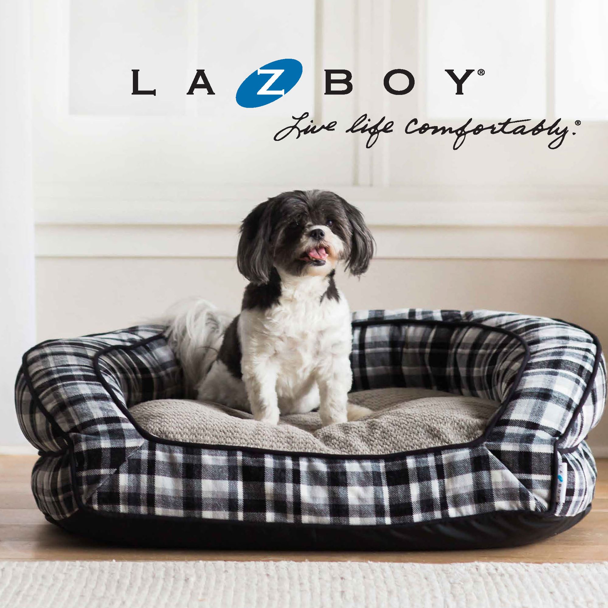 boy dog beds