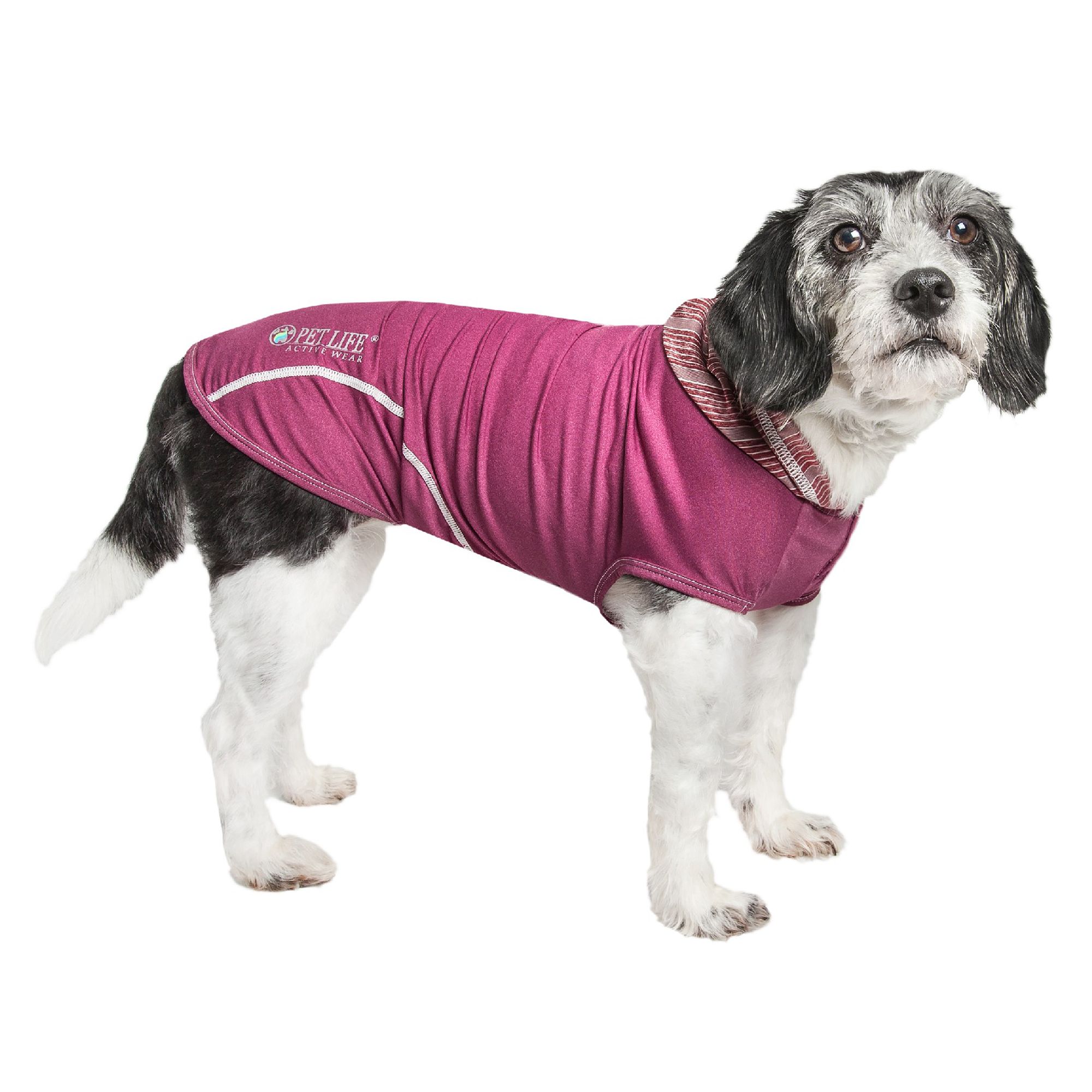 petsmart thunder shirts